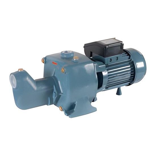 Conforto NPM B NP B Selbstansaugende Pumpen Conforto NPM B NP B Selbstansaugende Pumpen