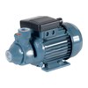 Conforto PM 2 Peripheralradpumpe 0,5Hp 230V