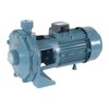 Conforto STDM 1 Pompa centrifuga bigirante 0,75Hp 230V