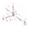 Injecta TP15/TP25/TM gearbox oil plug set - 13136