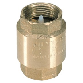 Speroni clapet anti-retour 130 2"1/2
