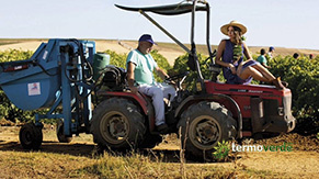 Dolmec CUS500F Carga uvas tipo "Sicilia" 500 kg