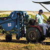 Dolmec CUS650F Mounted grape loader Sicilia type 650 kg