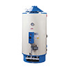La Nuova Coterm BGP 500 OVO chauffe-eau à gaz 500 lt