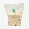 Substrate kit for growing Cardoncelli mushrooms