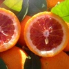 Oranger Sanguinello