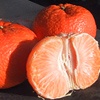 Oranger Tacle