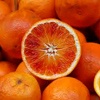 Primo Sole Orangenpflanze