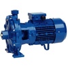 Centrifugal pump Speroni 2C 32/210D