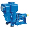 Speroni H 100-9.5 - Monoblock pump