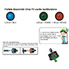 Irritec-Tropfer Multifunktion Drop-Stop DCG 2 lph