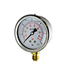 Irritec Glyzerin-Manometer Skala 0-6 bar