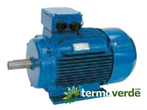 Electric motor – Speroni 400V 4P B3 30.0HP 180L GHI